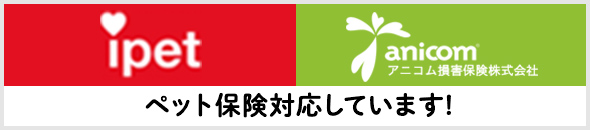 ペット保険対応しています